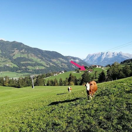 Landhaus Voetter Sankt Johann im Pongau Exteriör bild
