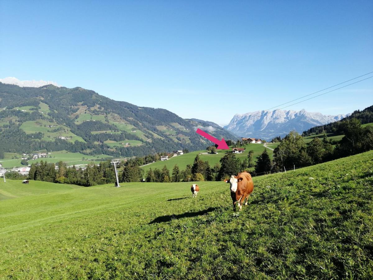 Landhaus Voetter Sankt Johann im Pongau Exteriör bild